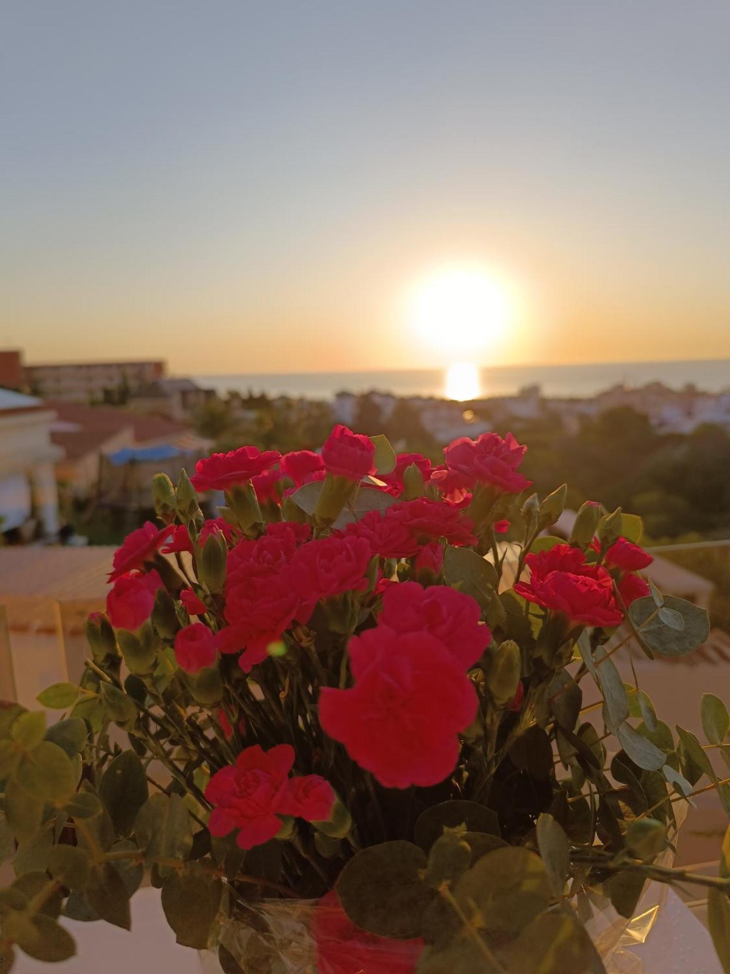 Rising Sun Bungalow Torrevieja Bagian luar foto